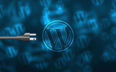 Optional Email Confirmation for WordPress Plugin Updates